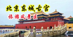 韩国淫荡的大鸡巴中国北京-东城古宫旅游风景区